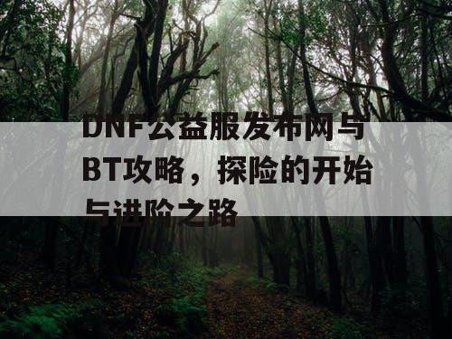 DNF公益服发布网与BT攻略，探险的开始与进阶之路