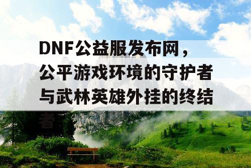 DNF公益服发布网，公平游戏环境的守护者与武林英雄外挂的终结者