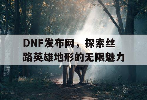 DNF发布网，探索丝路英雄地形的无限魅力