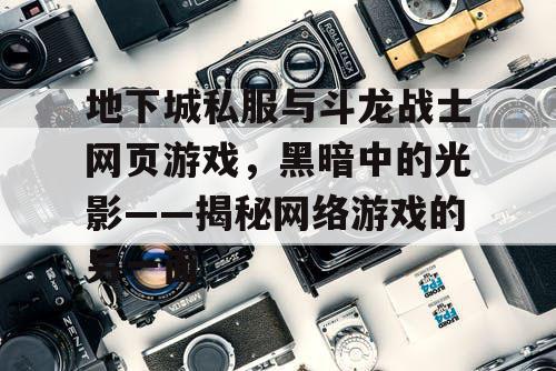 地下城私服与斗龙战士网页游戏，黑暗中的光影——揭秘网络游戏的另一面