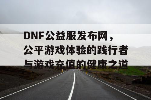 DNF公益服发布网，公平游戏体验的践行者与游戏充值的健康之道