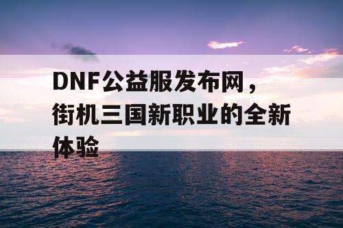 DNF公益服发布网，街机三国新职业的全新体验