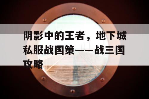 阴影中的王者，地下城私服战国策——战三国攻略